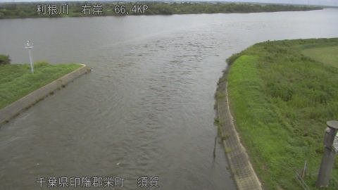 tonsu2026081212_image