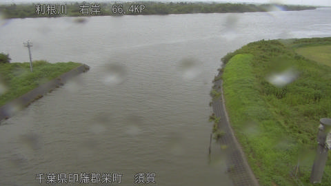 tonsu2026081312_image