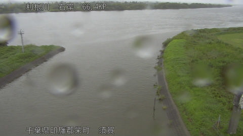 tonsu2026081612_image