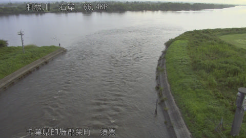 tonsu2026081706_image