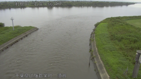 tonsu2026081707_image