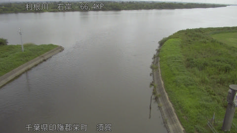 tonsu2026081709_image