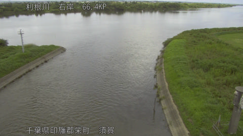 tonsu2026081712_image