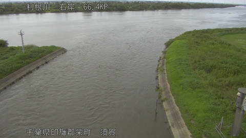 tonsu2026081713_image