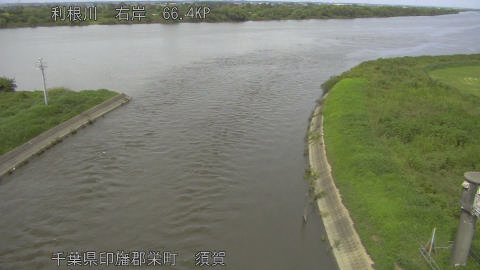 tonsu2026081714_image