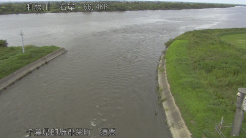 tonsu2026081715_image