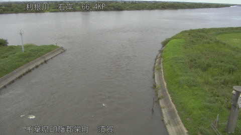 tonsu2026081716_image