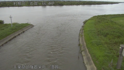tonsu2026081717_image