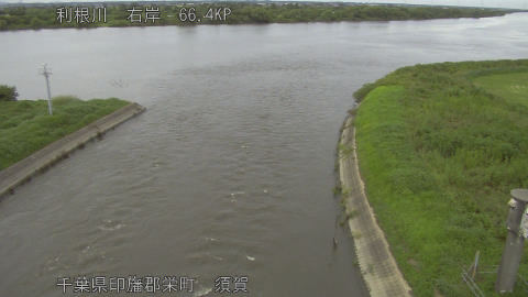 tonsu2026081718_image