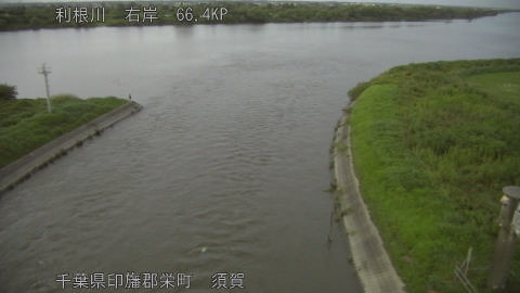 tonsu2026081719_image