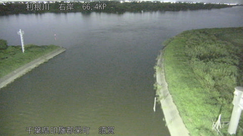 tonsu2026081720_image