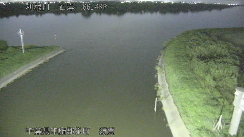 tonsu2026081723_image