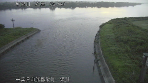 tonsu2026081805_image