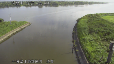 tonsu2026081808_image