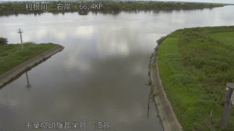tonsu2026081812_image