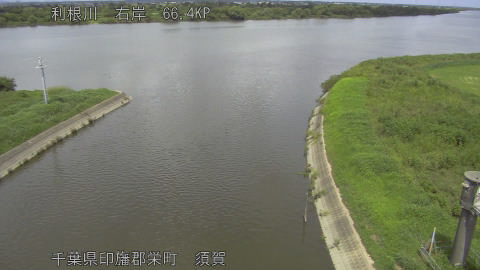 tonsu2026081813_image
