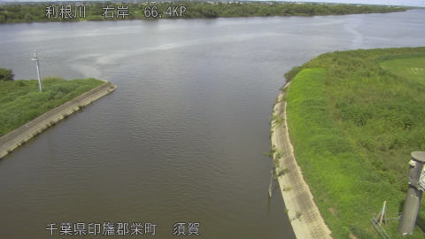 tonsu2026081814_image