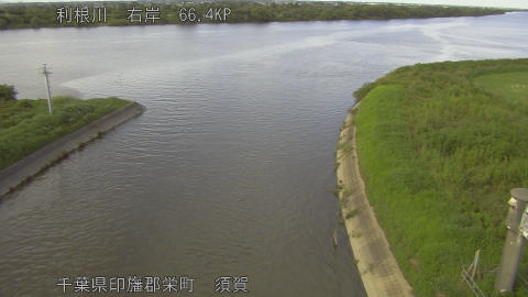 tonsu2026081816_image