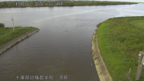 tonsu2026081817_image