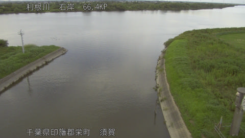 tonsu2026081818_image