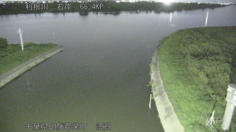 tonsu2026081820_image