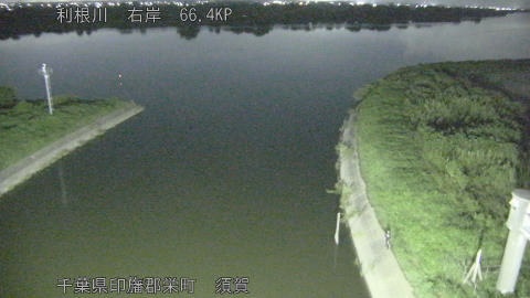 tonsu2026081901_image