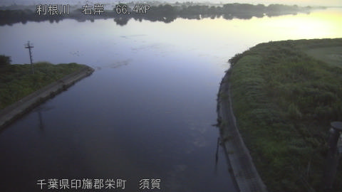 tonsu2026081905_image