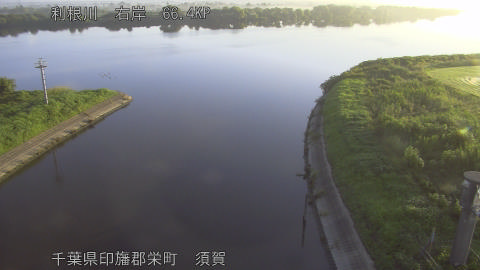 tonsu2026081906_image