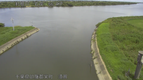 tonsu2026082012_image
