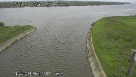 tonsu2026082212_image