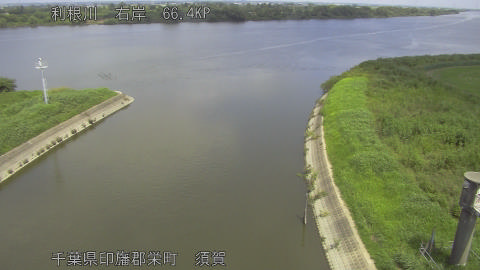 tonsu2026082412_image