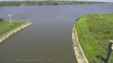 tonsu2026082512_image