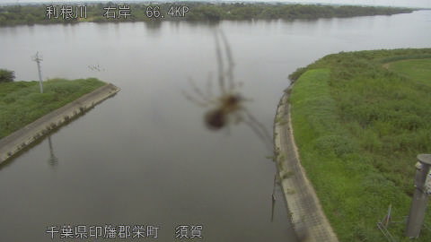 tonsu2026082612_image