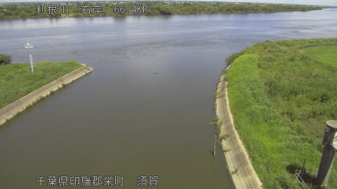 tonsu2026082812_image