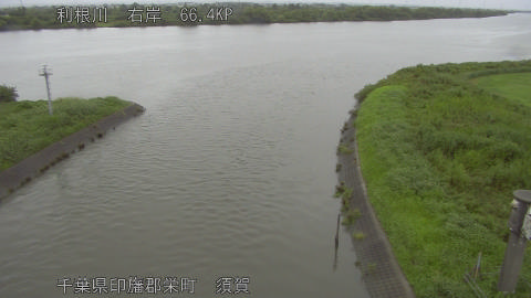 tonsu2026082912_image