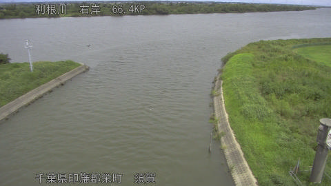 tonsu2026083112_image