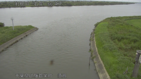 tonsu2026090112_image
