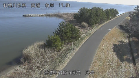 ukishi2026011012_image