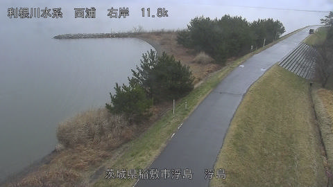 ukishi2026031910_image