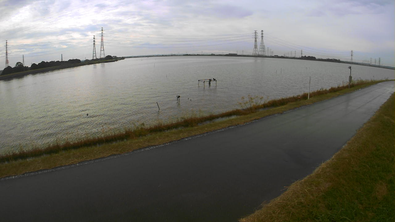 wani2025110912_image