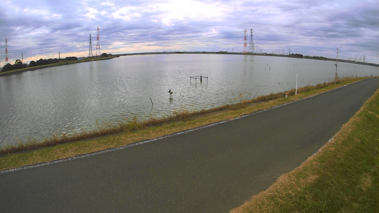 wani2025111112_image