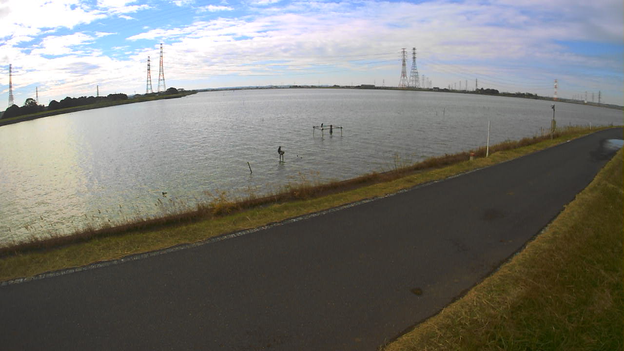 wani2025112012_image