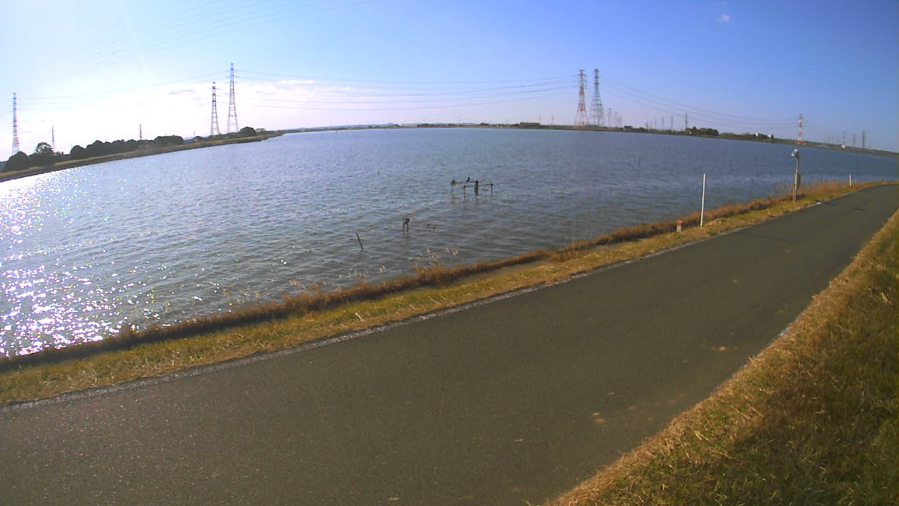 wani2025113012_image