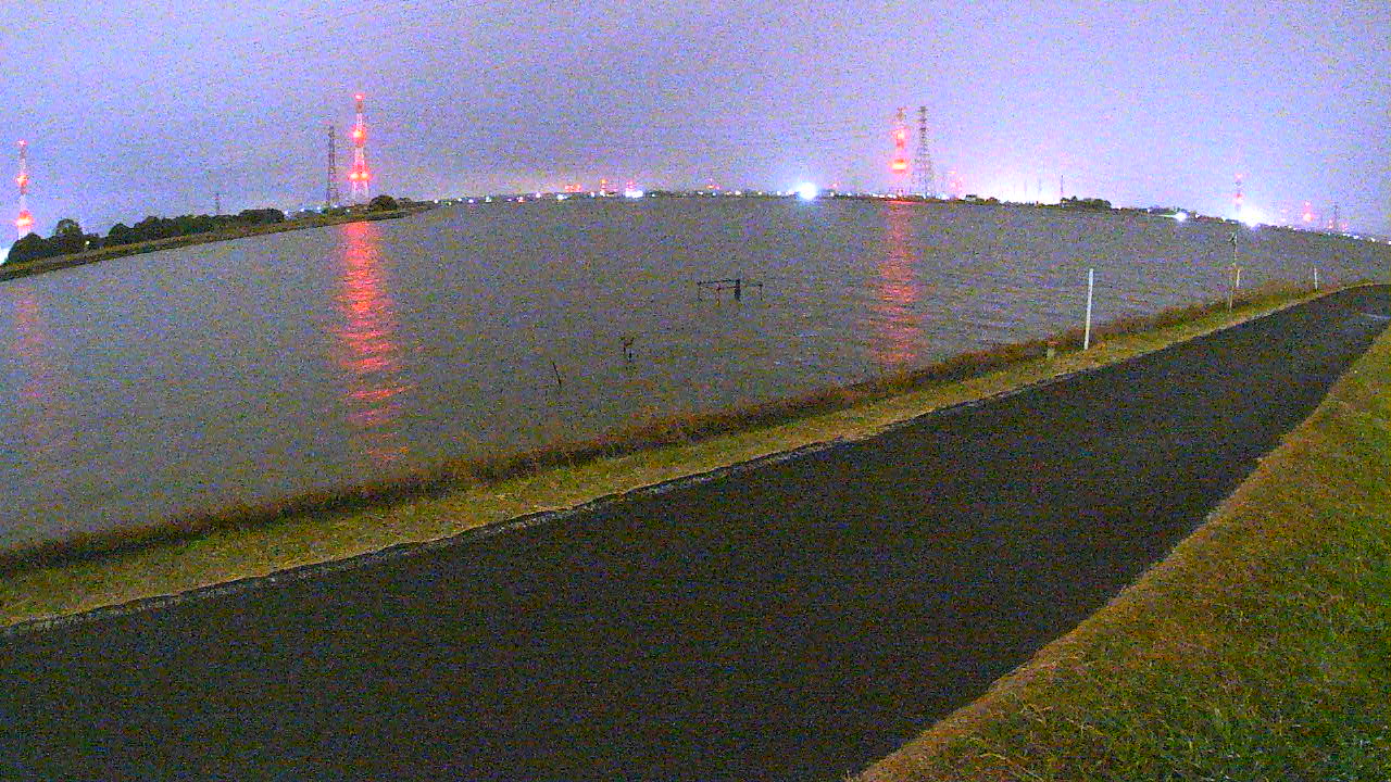 wani2025120321_image