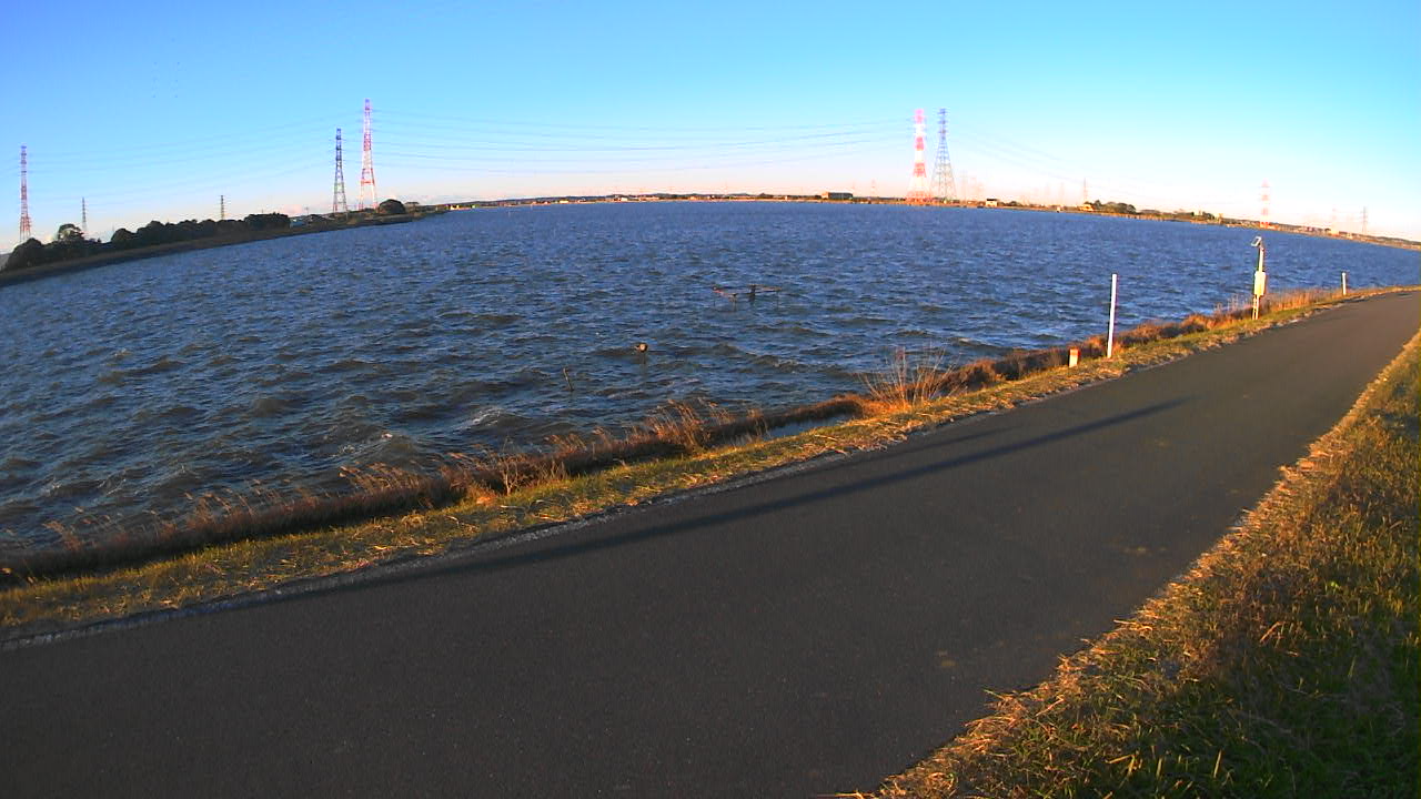 wani2025120407_image