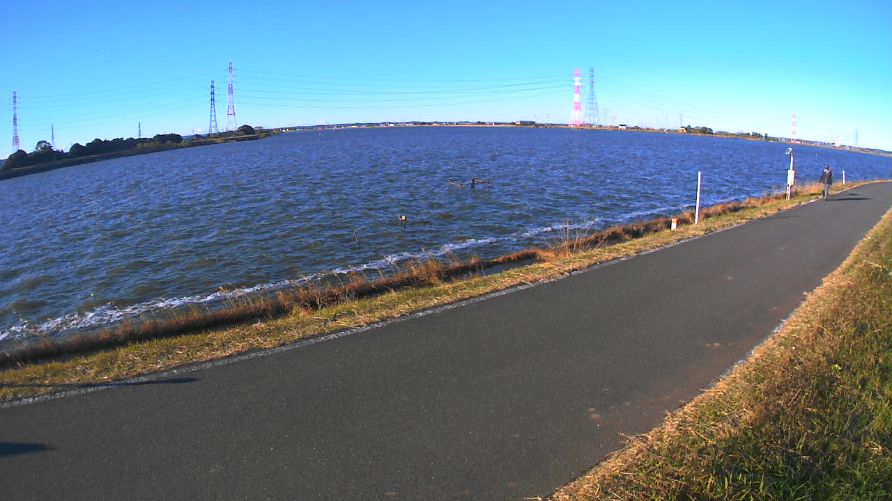 wani2025120408_image