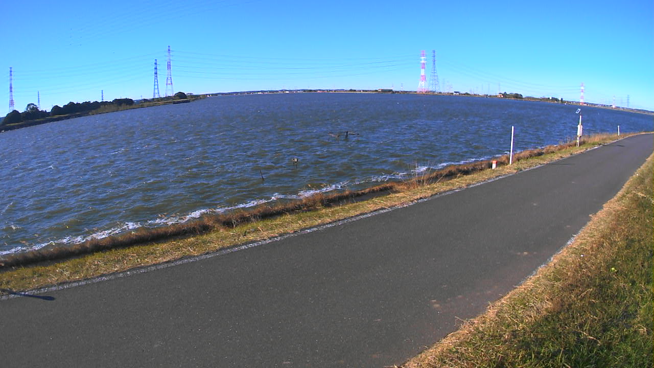 wani2025120409_image