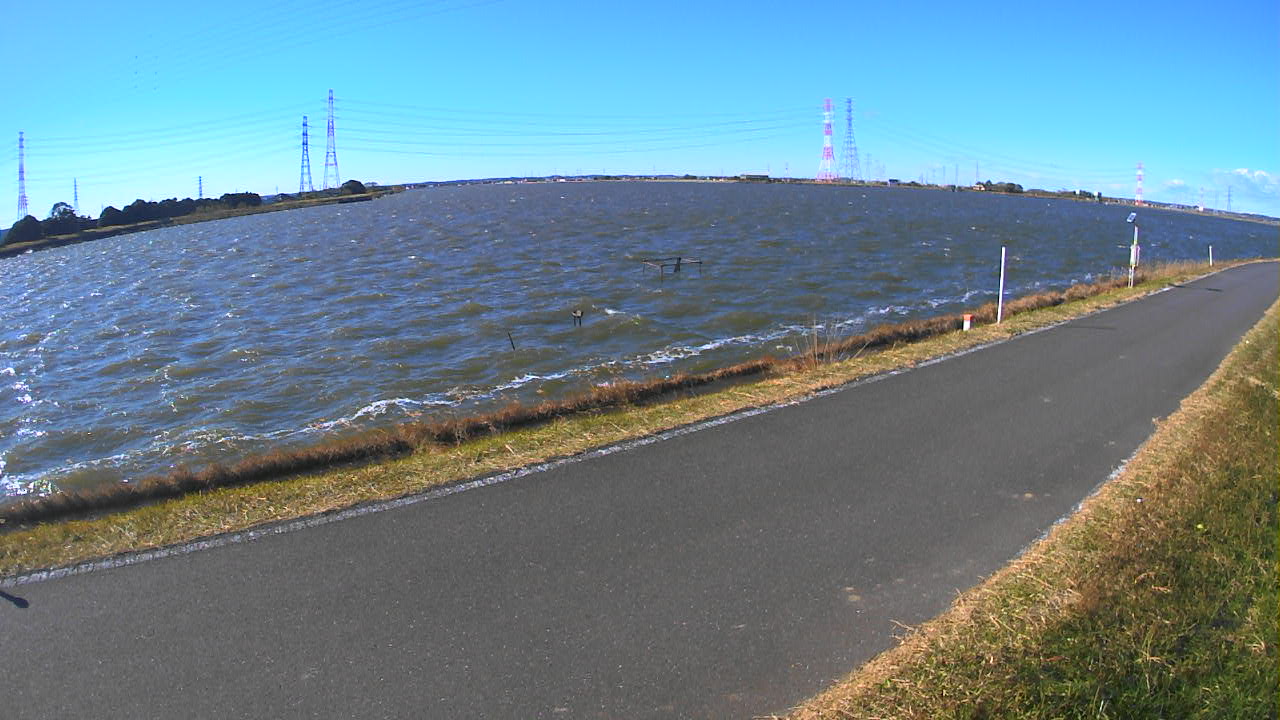 wani2025120410_image