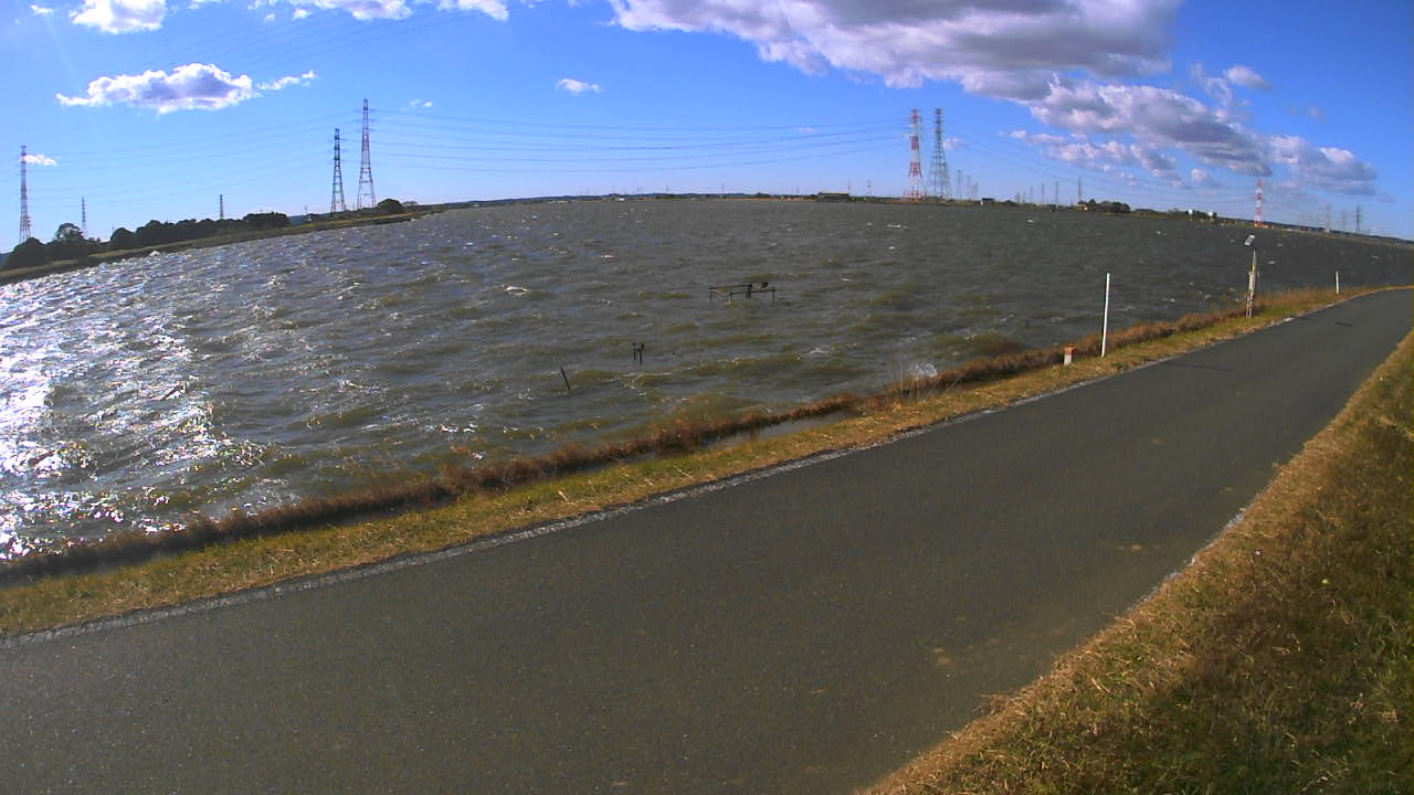 wani2025120411_image