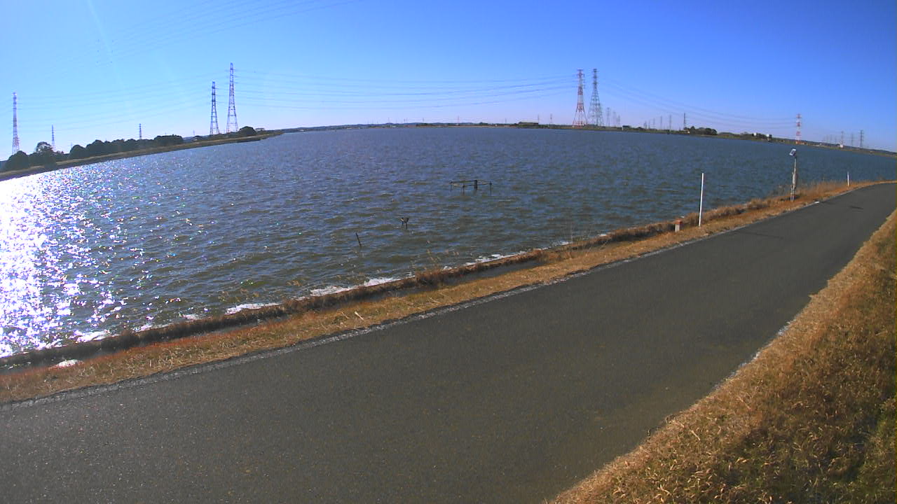 wani2026010912_image